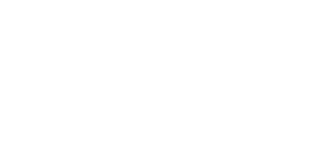 BVZ NÖN